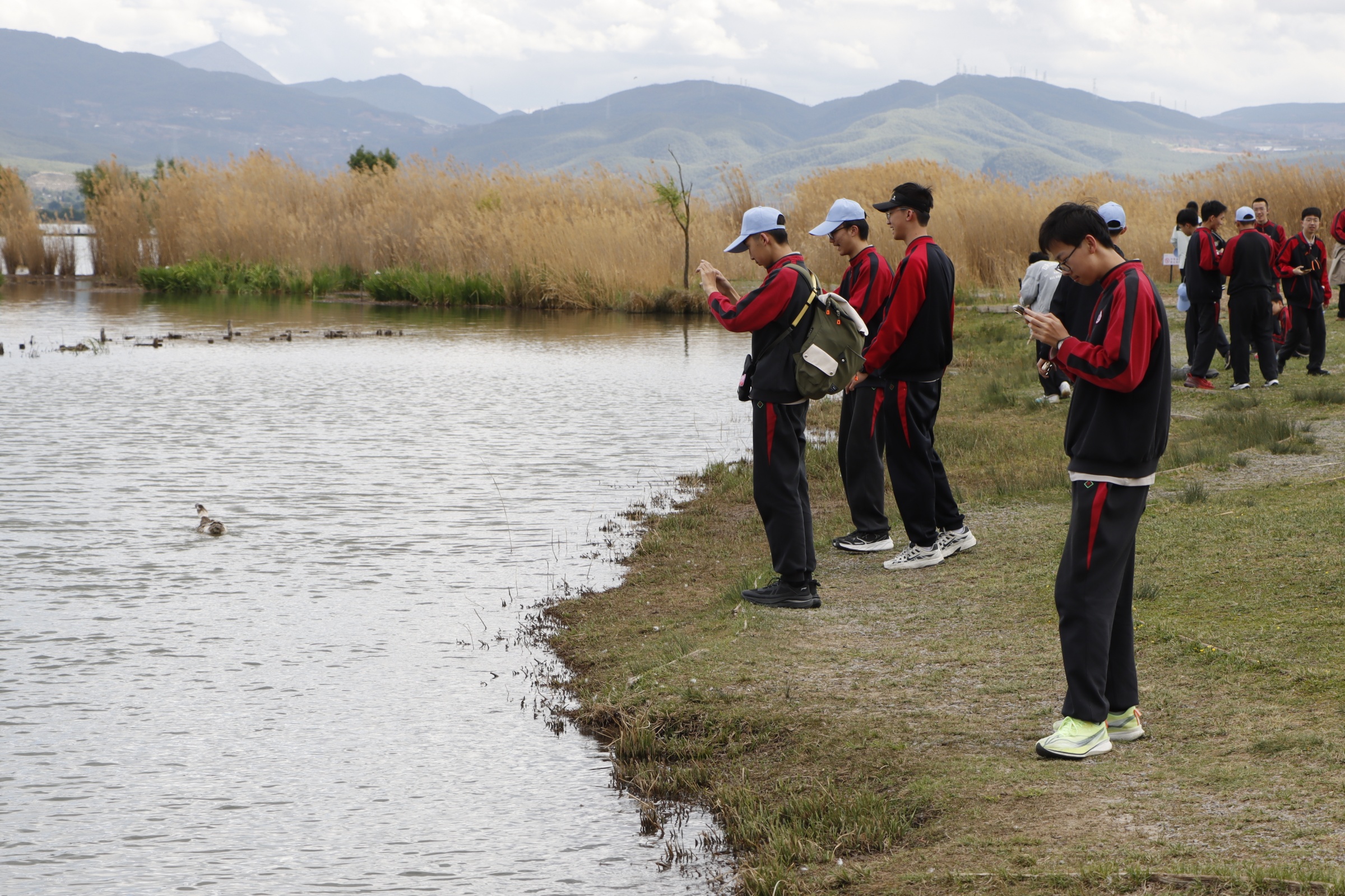 _MG_6090.JPG
