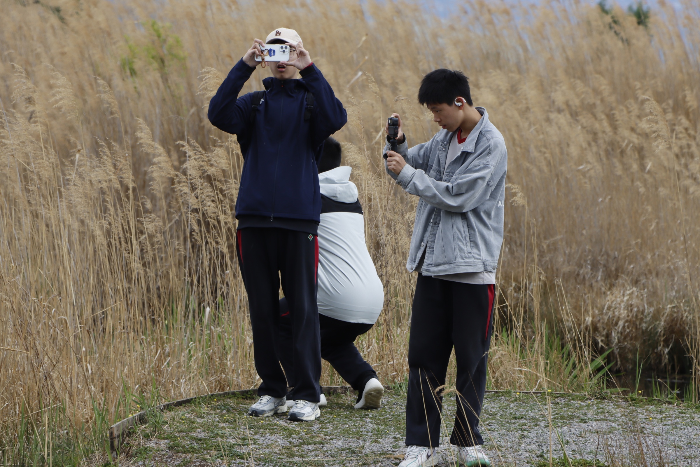 _MG_6096.JPG